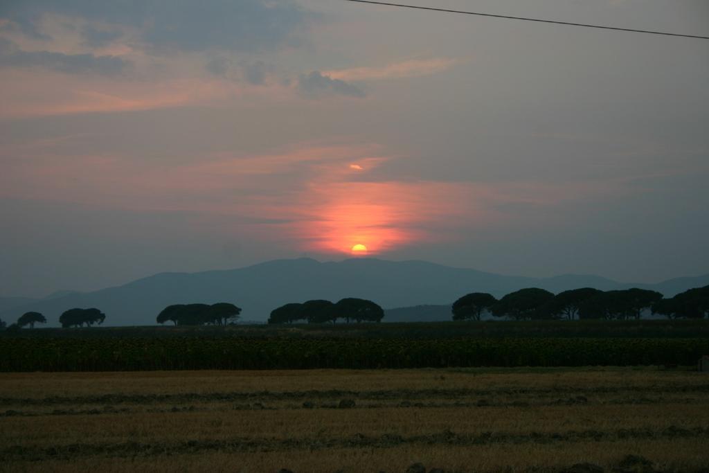 Appartamenti Il Granaio Marina di Grosseto Zewnętrze zdjęcie
