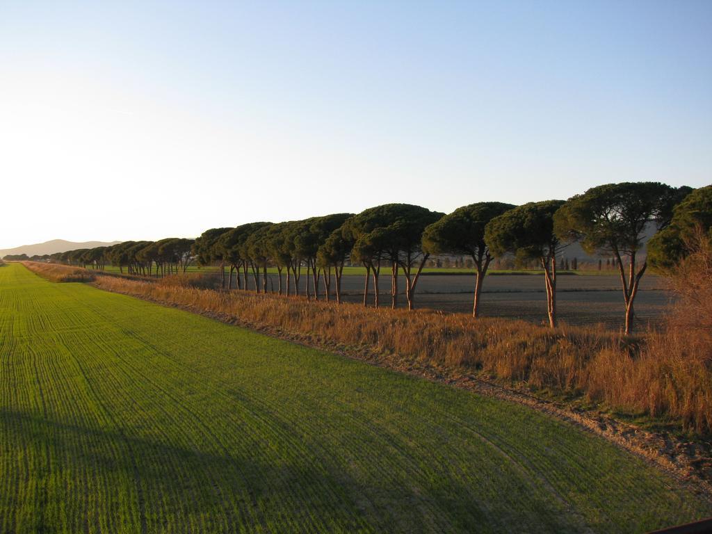 Appartamenti Il Granaio Marina di Grosseto Zewnętrze zdjęcie