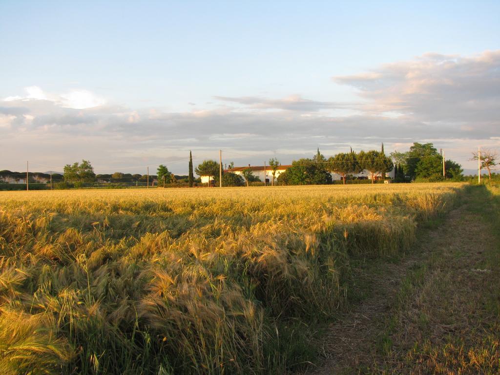 Appartamenti Il Granaio Marina di Grosseto Zewnętrze zdjęcie