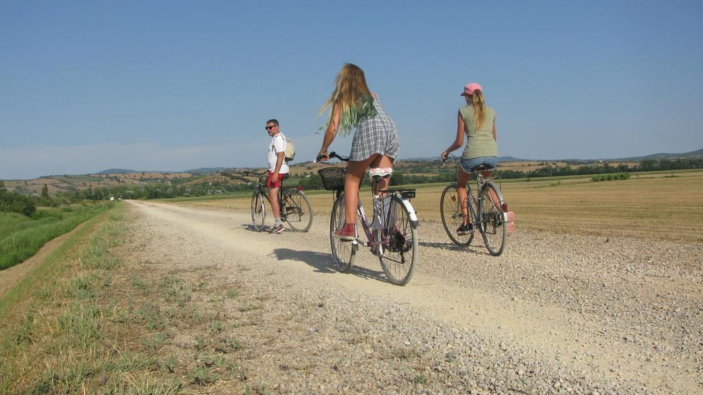 Appartamenti Il Granaio Marina di Grosseto Zewnętrze zdjęcie